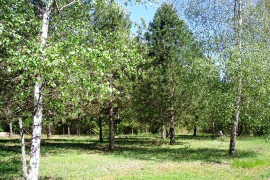 Grande Maison Avec Parc De 6000M2 Pompiey Exteriör bild
